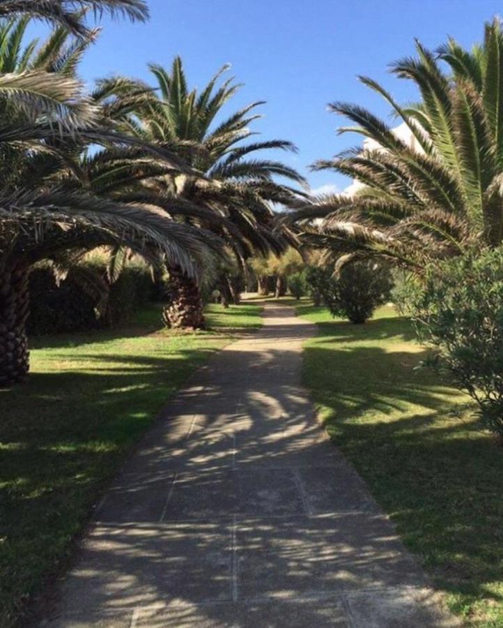 Rez De Jardin + Terrasse Piscine Et Acces Direct Plage Apartment Saint-Cyprien  Luaran gambar