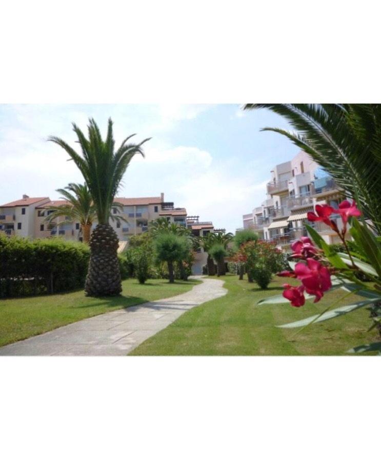Rez De Jardin + Terrasse Piscine Et Acces Direct Plage Apartment Saint-Cyprien  Luaran gambar